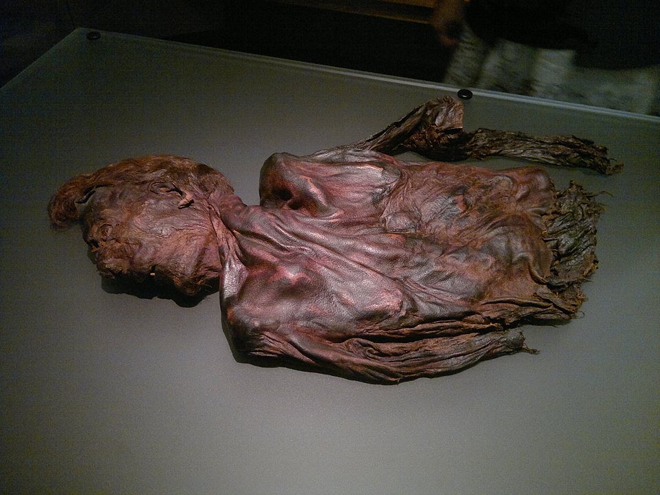 Bog-body: Clonycavan Man