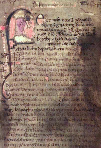 Book of Leinster Manuscript Page