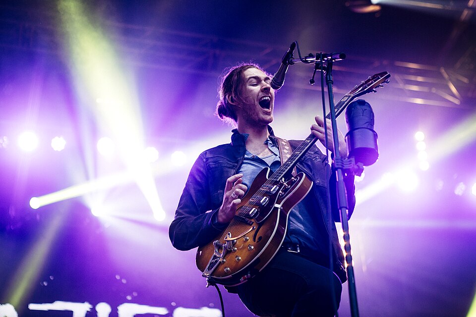 Hozier performing live